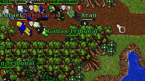 Gabax Tribunal on screen