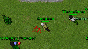 Seexton on screen