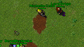 Michelle Cena on screen