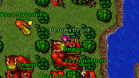 Pelows Druid on screen