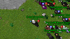 Captivator on screen