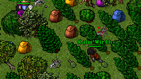 Kalm'Wirth on screen