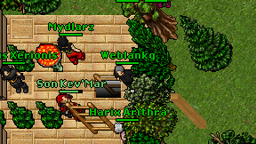 Weblankg on screen