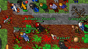 Atlantic Sharrk on screen