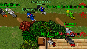 Cewus on screen