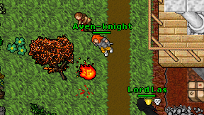 Aven-knight on screen
