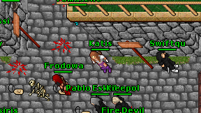 Katis on screen
