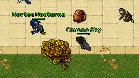 Chrono Sky on screen