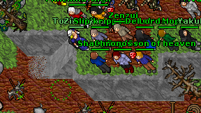 Shady Zap on screen