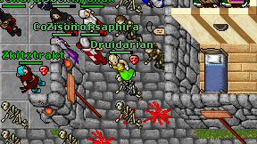Druidarian on screen