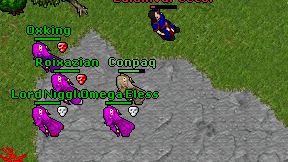 Conpaq on screen