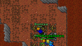 Bunesa on screen
