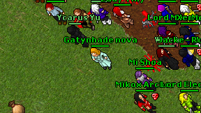 Gatynhade nova on screen