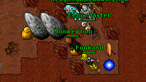 Monkey lion on screen