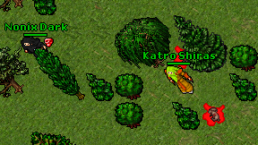 Katro Shiras on screen