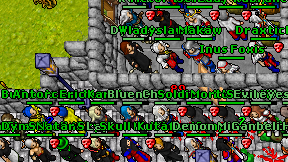 Inus Foxis on screen
