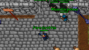 Fire Griffin on screen