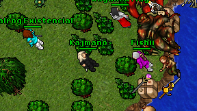 Kajmano on screen