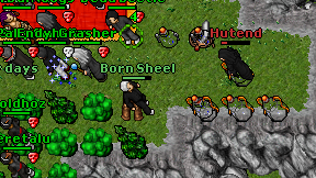 Born Sheel on screen
