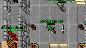 Arenn Sirair on screen