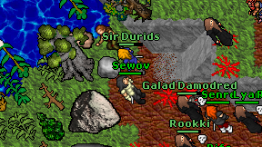 Sir Durids on screen