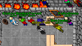 Aidas Falli on screen