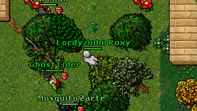 Lordyzinho Roxy on screen