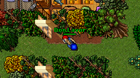 Don Lavor on screen