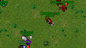 Kumbacha on screen