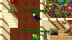 Trusty Druid on screen