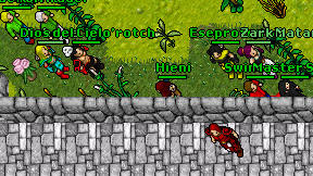 Hieni on screen