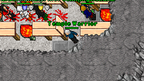 Temple Warrior on screen