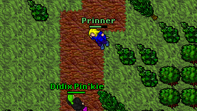 Prinner on screen