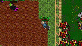 Cayzii on screen