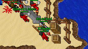 Anarkoi on screen