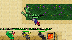 Aakisson on screen
