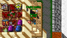 Diigo on screen