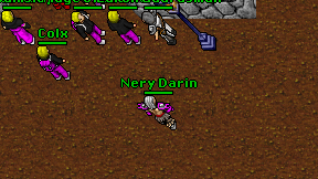 Nery Darin on screen