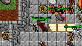 Gnomegod on screen