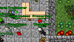Prowarrior on screen