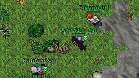 Arisson Mal on screen