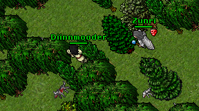 Diinnmooder on screen