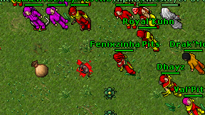 Fenixzinha Pits on screen