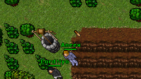 Aneex on screen