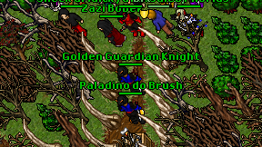 Golden Guardian Knight on screen