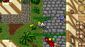 Mad Mozz on screen