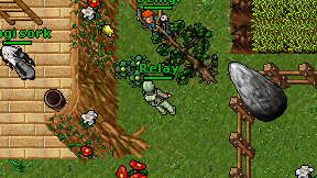 Relay on screen