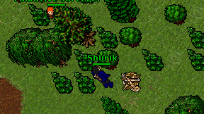 Shurik on screen