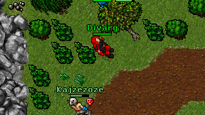 Divarg on screen