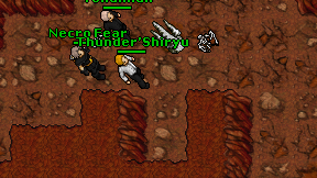 Thunder'Shiryu on screen